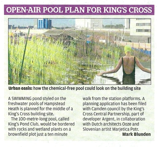 med.92.eveningstandardpondproject.webp