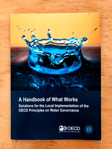 “A Handbook of What Works”, OECD, 23