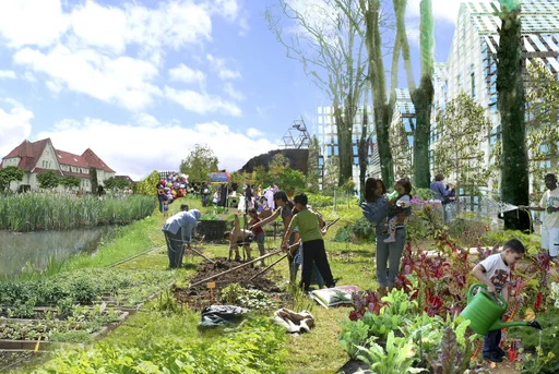 Community garden & community activities 