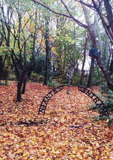 The current forest on the school site ©