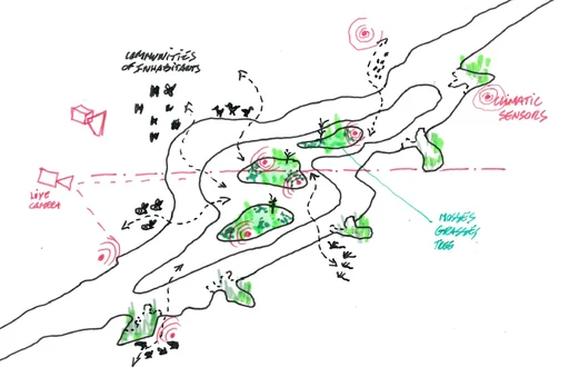 Monitoring the evolving ecosystem (© Oo