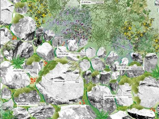 Flora layer of the southern part (© Ooz