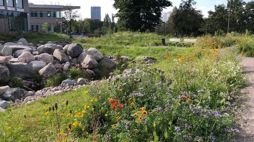 Meadow and Rocks (© Ooze)