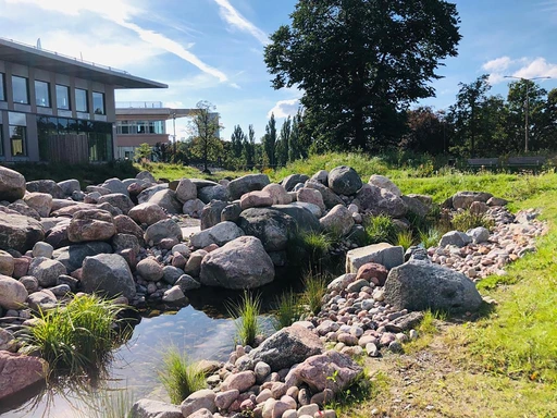 River around the Island (© Ooze)