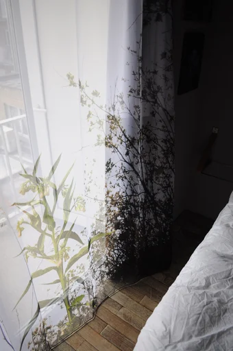 Detail of the curtain, designed by Eric 
